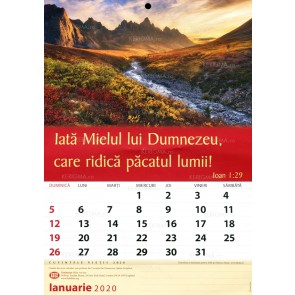 Calendar 2020. Lb. rom. (TBS)