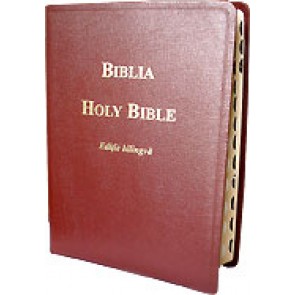 Biblia. Holy Bible_18 x 24,7_maro_RBS