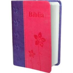 Biblia_9 x 12,8_mov/roz_LBN