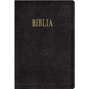 Biblia GBV 2001 – editie de lux